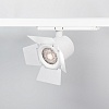 картинка Arlight Шторка  036007