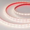 картинка Arlight Лента  021398(2)