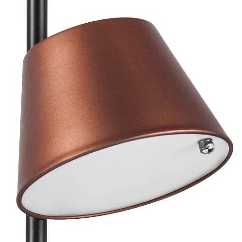 картинка Lightstar Люстра потолочная Cappe  719223