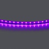 картинка Lightstar Лента цветного свечения 24V, фиолетовый   420518