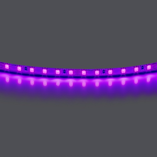 картинка Lightstar Лента цветного свечения 24V, фиолетовый   420518