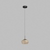 картинка Denkirs Подвесной светильник FLOA DK6741-BK+AM