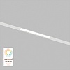 картинка Denkirs Трековый светильник  DK8003-WH