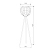 картинка TK Lighting Торшер 5057 Universo