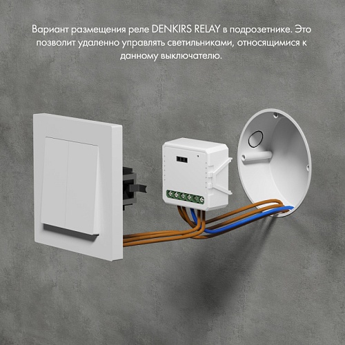 картинка Denkirs Двухканальное Wi-Fi реле-диммер  RL1004-DM