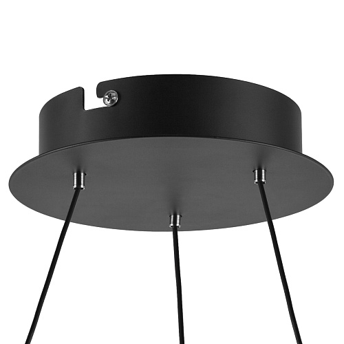 картинка Lightstar Люстра подвесная Rotonda  736247