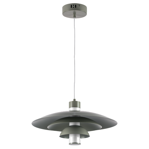 картинка Lightstar Люстра подвесная Erbareo  799019