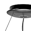 картинка Lightstar Люстра подвесная Nibbler  812186