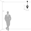 картинка Lightstar Люстра подвесная Schon  790031