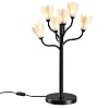 картинка ODEON LIGHT 5090/6T MODERN ODL25 553 черный матовый/белый/фарфор Настольная лампа G4 LED 6*5W GARDI