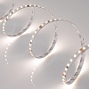 картинка Arlight Лента  015698(B)