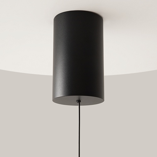 картинка Maytoni Подвесной светильник Мист / Mist 3000К 12Вт
