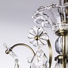 картинка Lightstar Люстра подвесная Schon  790061