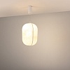 картинка Arlight Подвесной светильник  056883