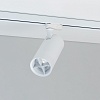 картинка Arlight Антибликовая решетка  046756