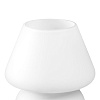 картинка Lightstar Настольная лампа Meringe  801900
