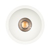 картинка Arlight Светильник Downlight  048272