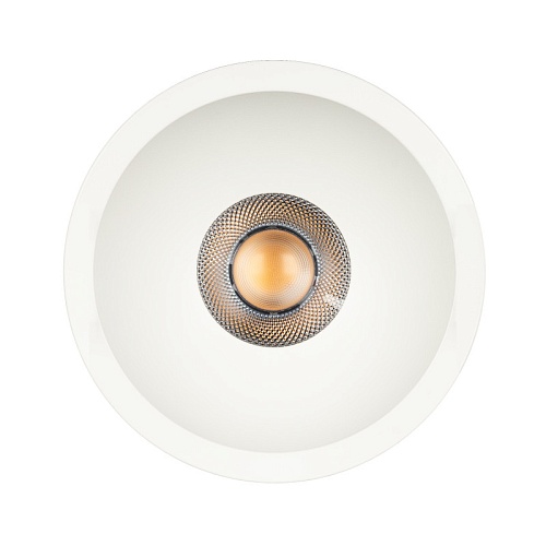 картинка Arlight Светильник Downlight  048272