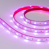 картинка Arlight Лента  028711