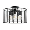картинка Lightstar Люстра потолочная Genni  798257