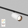 картинка Denkirs Трековый светильник  DK8041-BW+BK