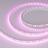 картинка Arlight Лента  015897(2)