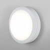 картинка Elektrostandard Пылевлагозащищенный светодиодный светильник 15W 6500K IP65 LTB51