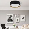 картинка TK Lighting Потолочный светильник 3432 Bilbao Black Gold