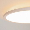 картинка Maytoni Потолочный светильник Инкогнито / Incognito 2700-4000К 44Вт