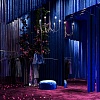 картинка Freya Подвесной светильник Ветви / Branches