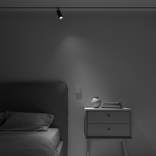 картинка Maytoni Беспроводная панель управления освещением Комбинированная (MIX)