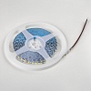 картинка Lightstar Лента цветного свечения 24V, лимонный   420519