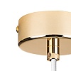 картинка Lightstar Подвес Dumo  816016