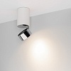 картинка Arlight Спот  040373