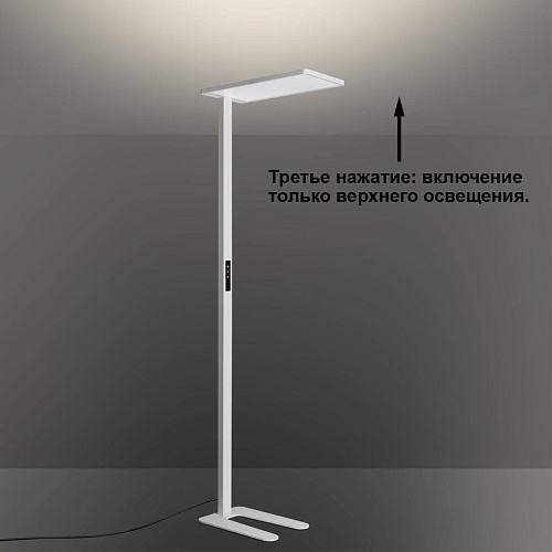 картинка NOVOTECH 359545 LEDO NT25 330 (В 2-х КОРОБКАХ) белый Торшер светодиодный диммир. полного спектра IP2
