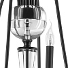 картинка Lightstar Люстра подвесная Ragno  732067