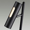 картинка ODEON LIGHT 6643/5FL HIGHTECH ODL24 303 черный/металл/акрил Напольный светильник (выкл. и диммер на 