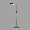 картинка LUMION 8332/15FL LEDIO LN26 458 темно-серый, металл/пластик Торшер LED 15W 3000/4000/6000K ССТ/димме