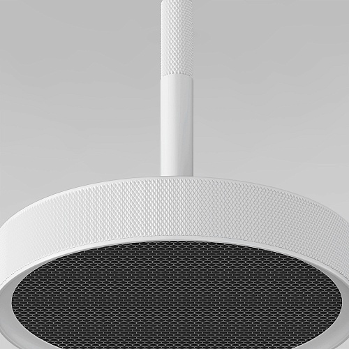 картинка Elektrostandard Подвесной светильник Plate 50260 LED