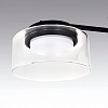 картинка Lightstar Люстра потолочная Fico II  740137