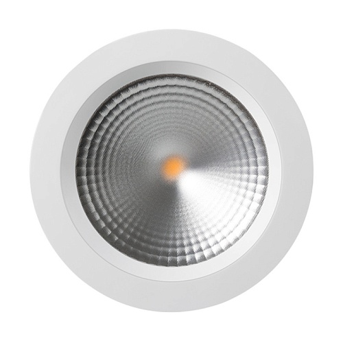 картинка Arlight Светильник Downlight  021069
