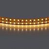 картинка Lightstar Лента  теплого белого свечения 24V   421503