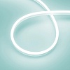 картинка Arlight Гибкий неон  036676