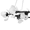 картинка Lightstar Люстра подвесная Ceramo BW  799097