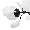 картинка Lightstar Люстра подвесная Ceramo BW  799097