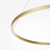 картинка Maytoni Подвесной светильник Рим / Rim 2600-3500К 60Вт
