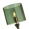 картинка ODEON LIGHT 4889/1S STANDING ODL_EX22 157 зеленый/стекло Абажур для высокой лампы TOWER