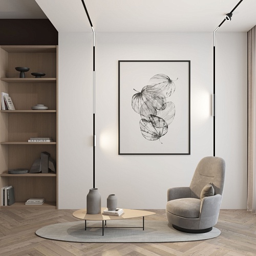 картинка Трековый светильник Denkirs DK8014-BK