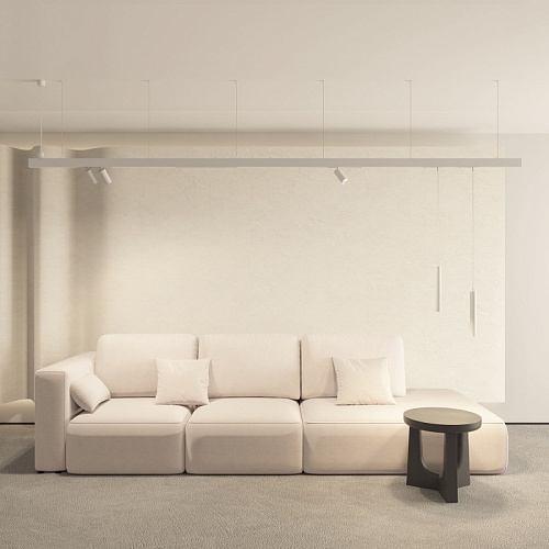 картинка Denkirs Трековый светильник  DK8012-WH