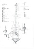 картинка Lightstar Люстра подвесная Classic  700294